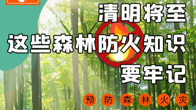 【甘快看】圖解|緊繃“安全弦”！清明，這些森林防火知識(shí)要牢記