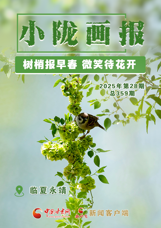 【小隴畫(huà)報(bào)·359期】永靖：樹(shù)梢報(bào)早春 微笑待花開(kāi)