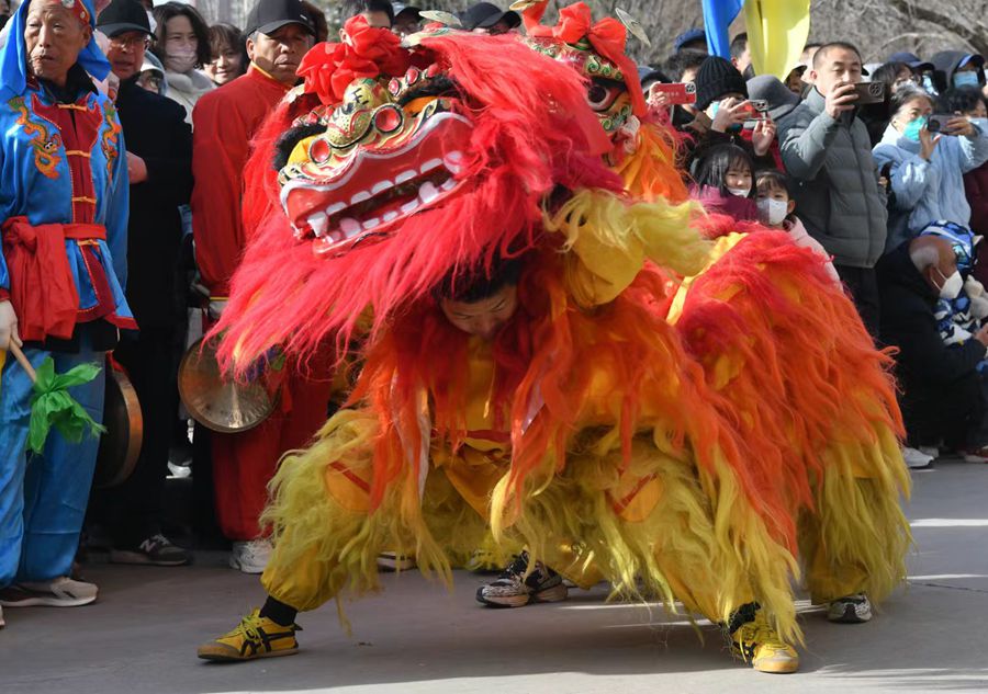 蘭州北獅表演現(xiàn)場(chǎng)。受訪者供圖